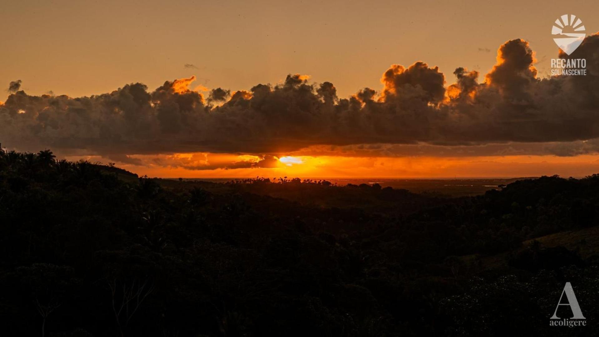 Pousada Recanto Sol Nascente, Luxo E Proximidade Com A Natureza Hotel Rio Formoso ภายนอก รูปภาพ