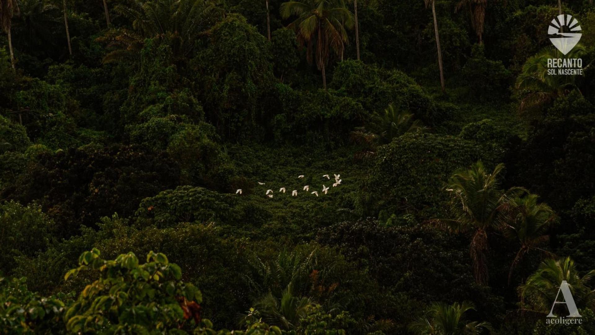 Pousada Recanto Sol Nascente, Luxo E Proximidade Com A Natureza Hotel Rio Formoso ภายนอก รูปภาพ