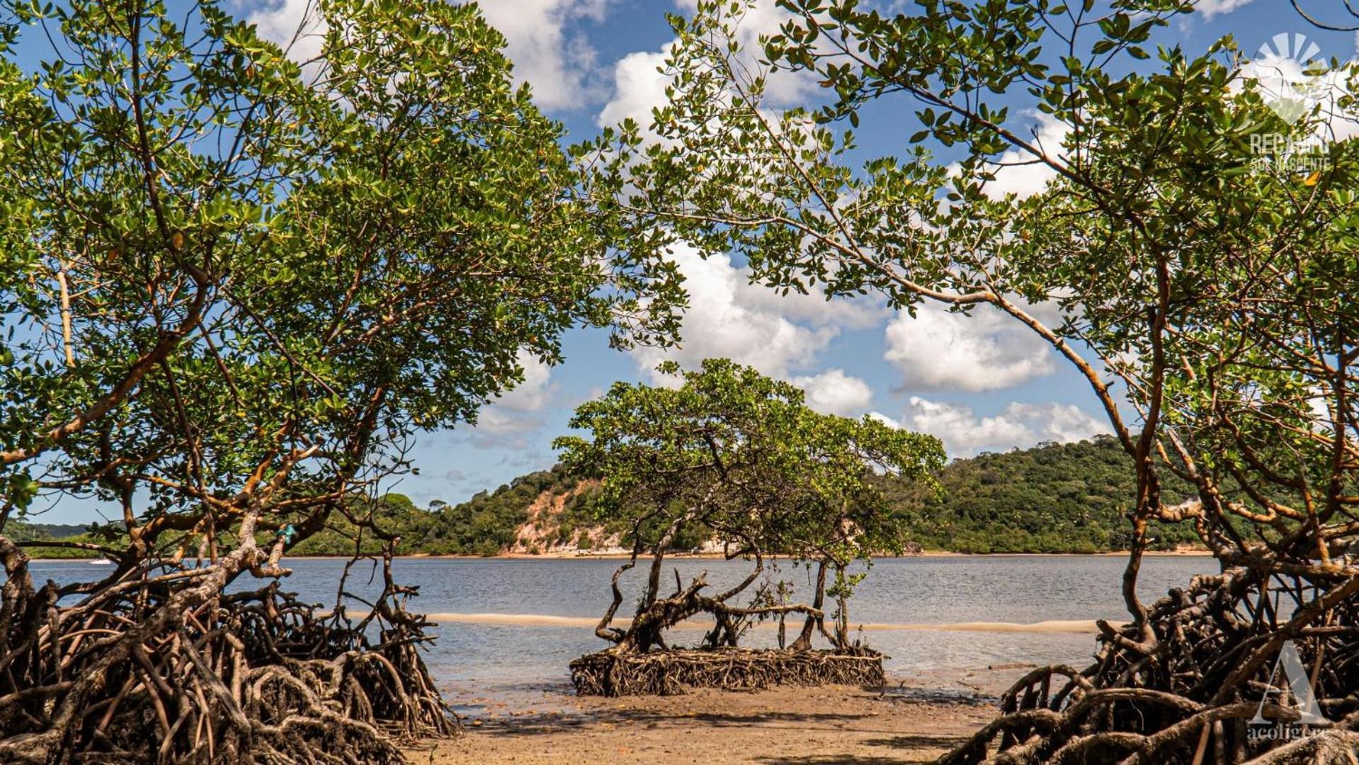 Pousada Recanto Sol Nascente, Luxo E Proximidade Com A Natureza Hotel Rio Formoso ภายนอก รูปภาพ