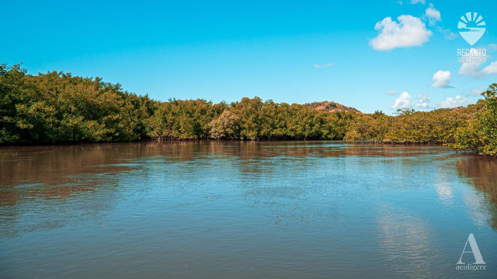 Pousada Recanto Sol Nascente, Luxo E Proximidade Com A Natureza Hotel Rio Formoso ภายนอก รูปภาพ