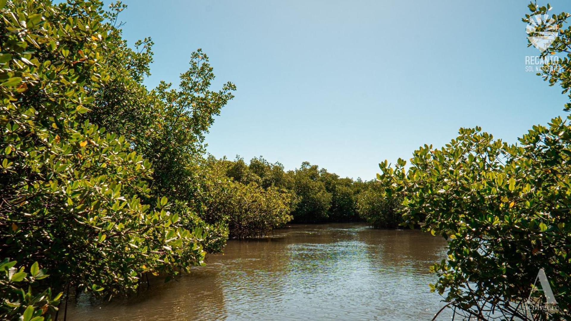 Pousada Recanto Sol Nascente, Luxo E Proximidade Com A Natureza Hotel Rio Formoso ภายนอก รูปภาพ