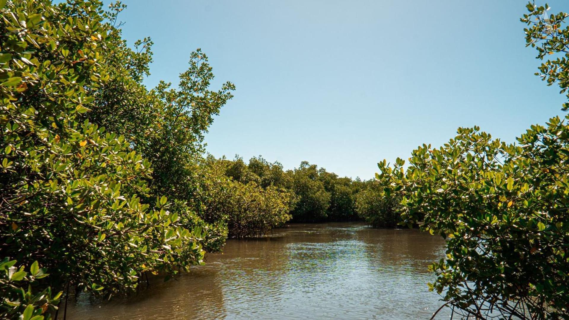Pousada Recanto Sol Nascente, Luxo E Proximidade Com A Natureza Hotel Rio Formoso ภายนอก รูปภาพ